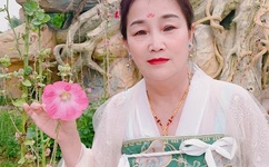 色情亂倫視电影无耻混蛋